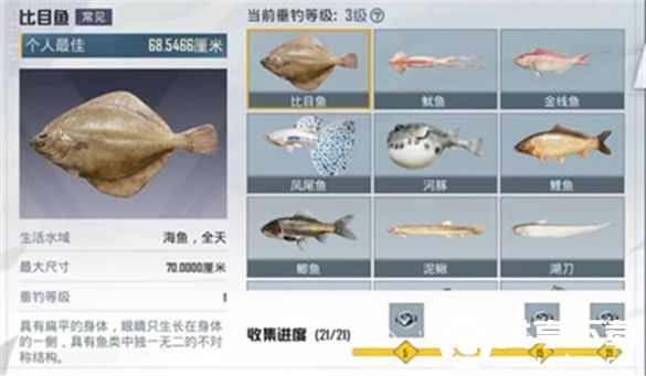 和平精英钓鱼大赛每天上限多少