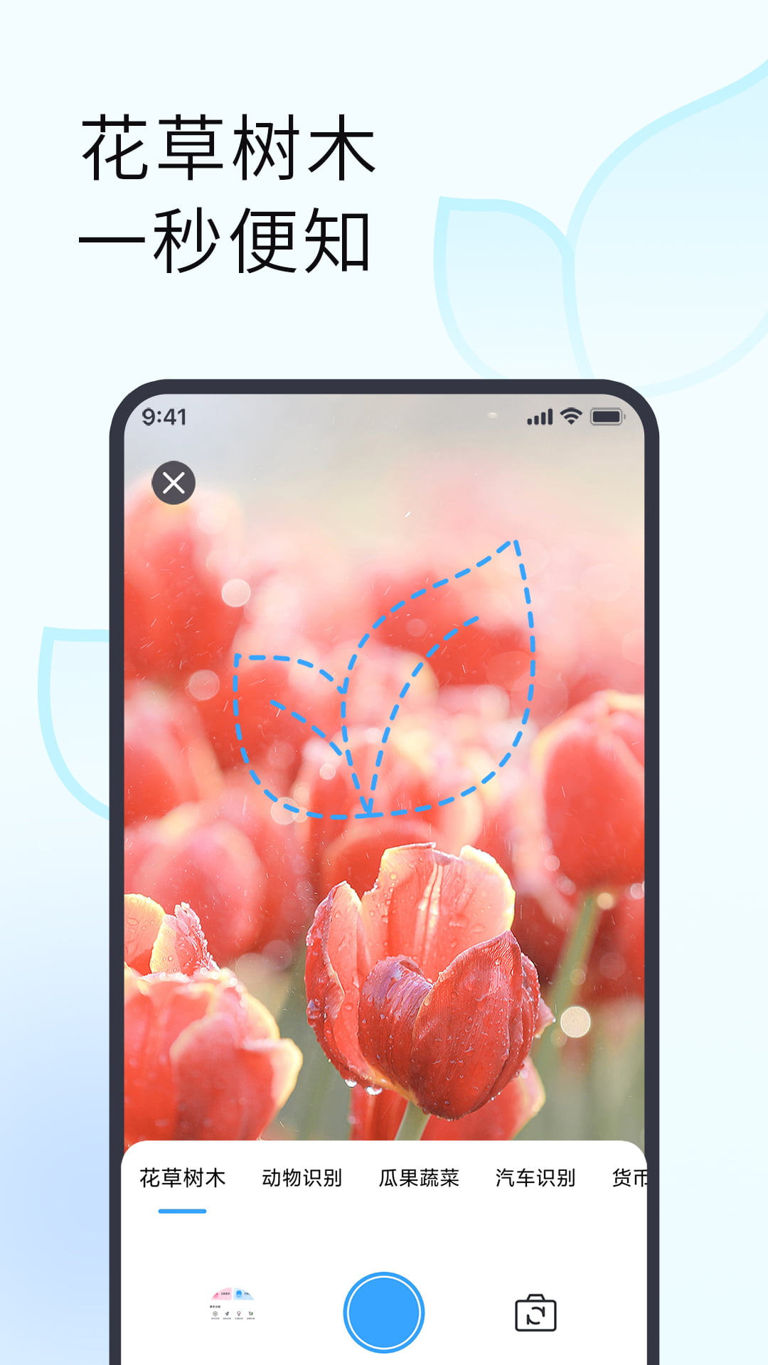 植物识别app官方下载免费最新版